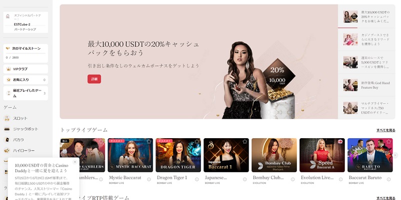 ビットカジノの初回入金ボーナスの概要画像