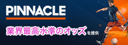 pinnacle banner