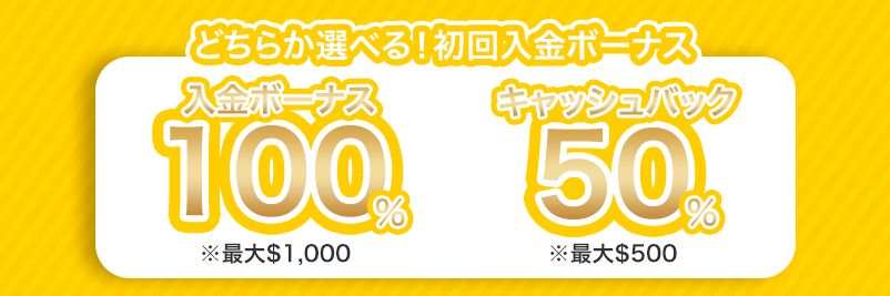 ラッキーニッキーの初回入金ボーナスの内容